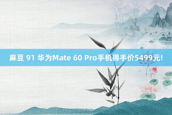 麻豆 91 华为Mate 60 Pro手机得手价5499元!