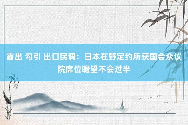 露出 勾引 出口民调：日本在野定约所获国会众议院席位瞻望不会过半