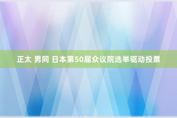 正太 男同 日本第50届众议院选举驱动投票