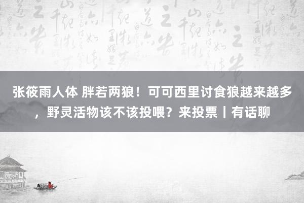 张筱雨人体 胖若两狼！可可西里讨食狼越来越多，野灵活物该不该投喂？来投票丨有话聊