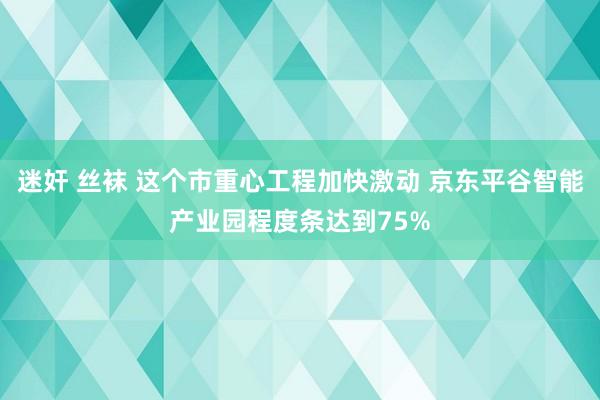 迷奸 丝袜 这个市重心工程加快激动 京东平谷智能产业园程度条达到75%