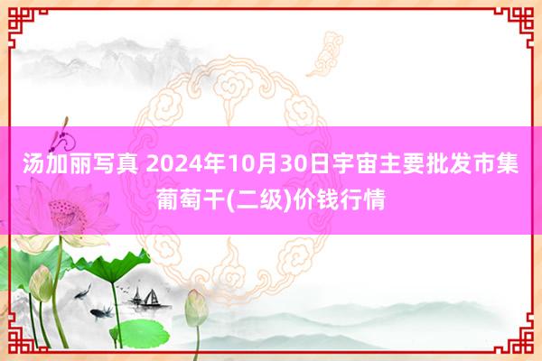 汤加丽写真 2024年10月30日宇宙主要批发市集葡萄干(二级)价钱行情