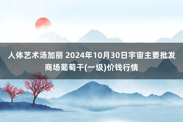 人体艺术汤加丽 2024年10月30日宇宙主要批发商场葡萄干(一级)价钱行情