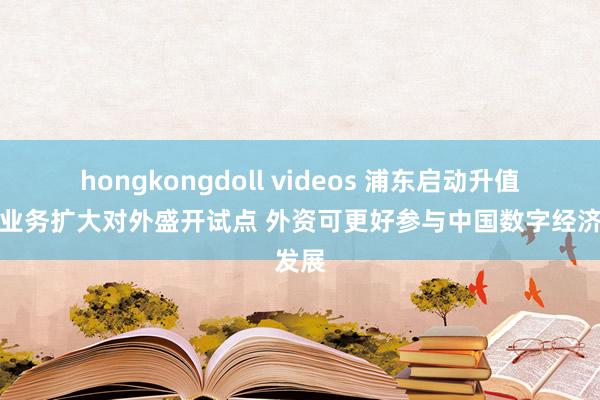 hongkongdoll videos 浦东启动升值电信业务扩大对外盛开试点 外资可更好参与中国数字经济发展