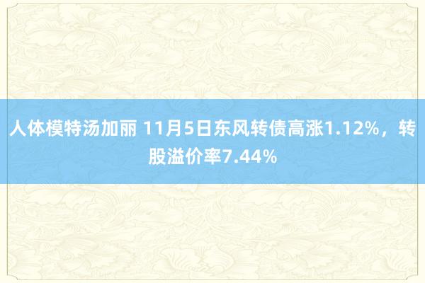 人体模特汤加丽 11月5日东风转债高涨1.12%，转股溢价率7.44%