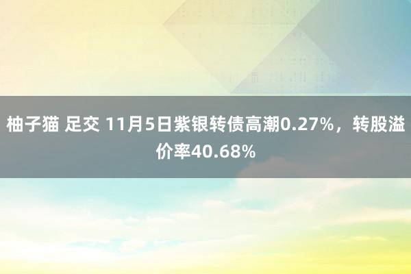 柚子猫 足交 11月5日紫银转债高潮0.27%，转股溢价率40.68%