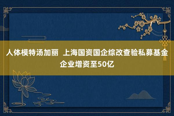 人体模特汤加丽  上海国资国企综改查验私募基金企业增资至50亿