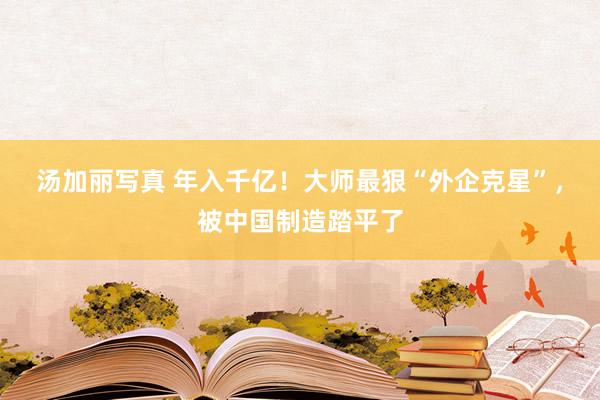 汤加丽写真 年入千亿！大师最狠“外企克星”，被中国制造踏平了