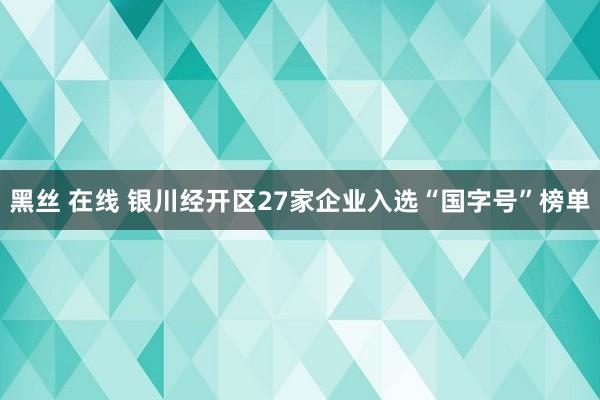 黑丝 在线 银川经开区27家企业入选“国字号”榜单