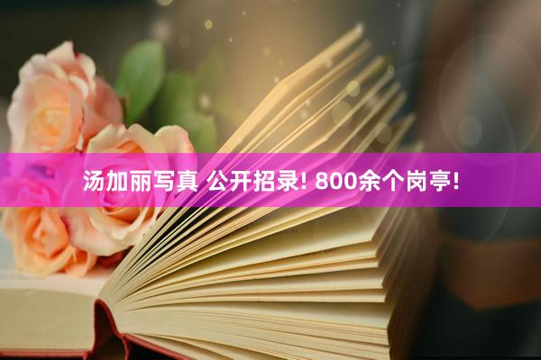 汤加丽写真 公开招录! 800余个岗亭!