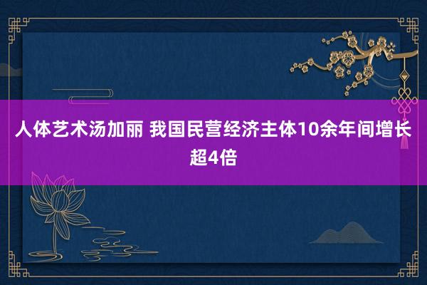 人体艺术汤加丽 我国民营经济主体10余年间增长超4倍