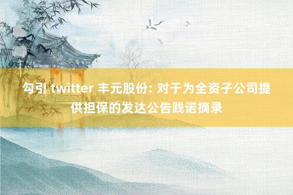 勾引 twitter 丰元股份: 对于为全资子公司提供担保的发达公告践诺摘录