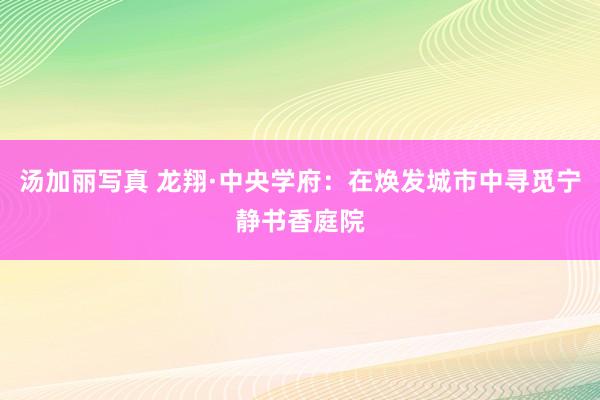 汤加丽写真 龙翔·中央学府：在焕发城市中寻觅宁静书香庭院