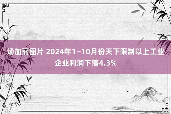 汤加丽图片 2024年1—10月份天下限制以上工业企业利润下落4.3%