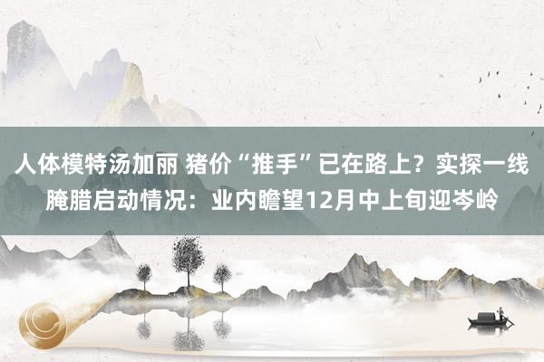 人体模特汤加丽 猪价“推手”已在路上？实探一线腌腊启动情况：业内瞻望12月中上旬迎岑岭