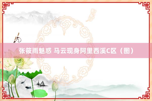 张筱雨魅惑 马云现身阿里西溪C区（图）