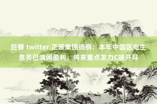 巨臀 twitter 正派集团扬纲：本年中国区电生意务已清闲盈利，将来重点发力C端开导