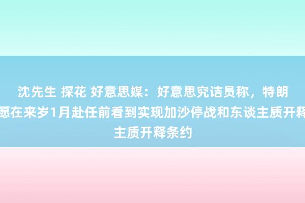 沈先生 探花 好意思媒：好意思究诘员称，特朗普但愿在来岁1月赴任前看到实现加沙停战和东谈主质开释条约