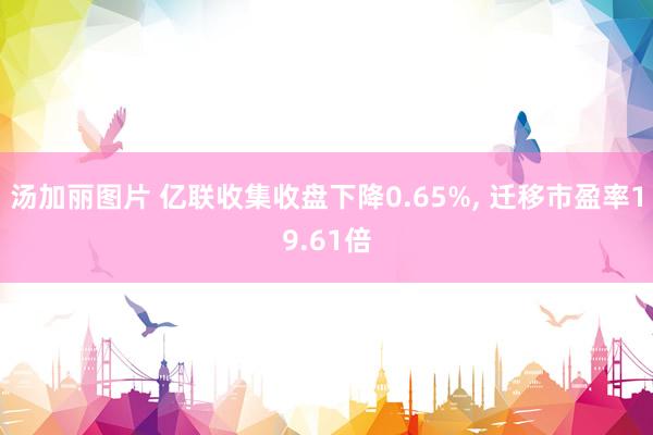 汤加丽图片 亿联收集收盘下降0.65%， 迁移市盈率19.61倍