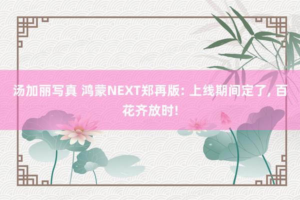 汤加丽写真 鸿蒙NEXT郑再版: 上线期间定了， 百花齐放时!