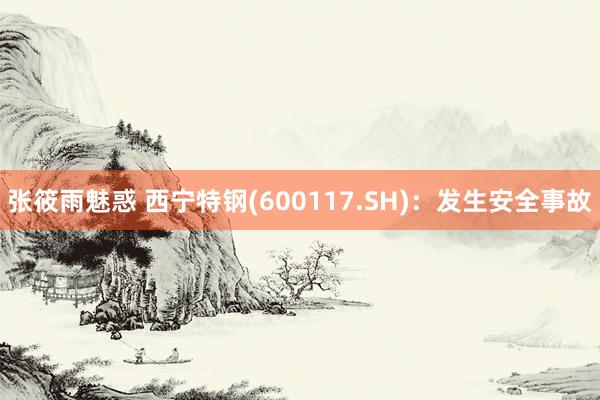 张筱雨魅惑 西宁特钢(600117.SH)：发生安全事故