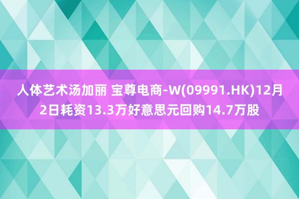 人体艺术汤加丽 宝尊电商-W(09991.HK)12月2日耗资13.3万好意思元回购14.7万股