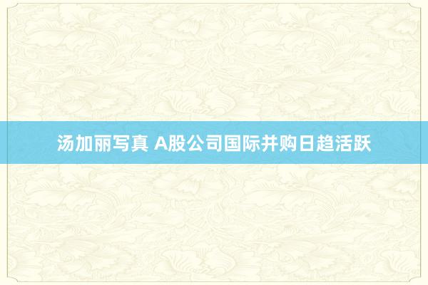 汤加丽写真 A股公司国际并购日趋活跃