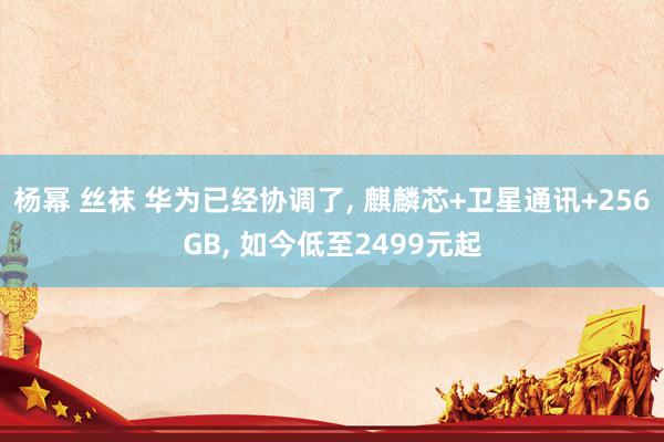 杨幂 丝袜 华为已经协调了， 麒麟芯+卫星通讯+256GB， 如今低至2499元起