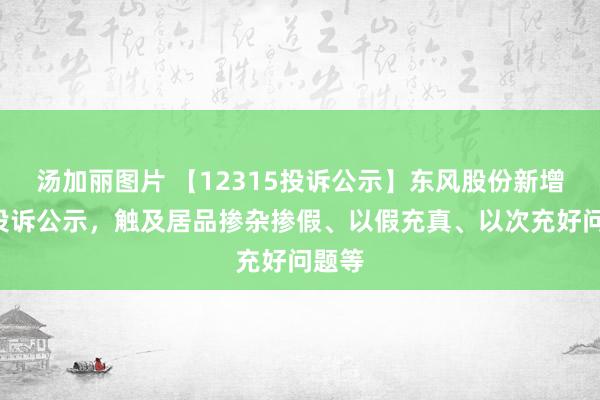 汤加丽图片 【12315投诉公示】东风股份新增2件投诉公示，触及居品掺杂掺假、以假充真、以次充好问题等