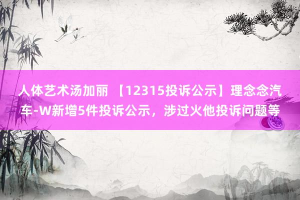 人体艺术汤加丽 【12315投诉公示】理念念汽车-W新增5件投诉公示，涉过火他投诉问题等