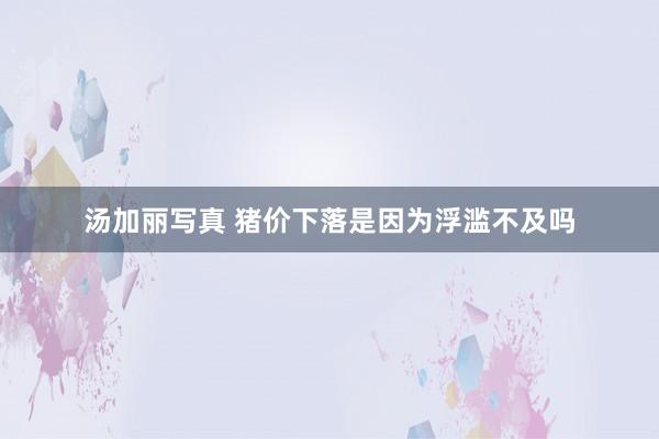 汤加丽写真 猪价下落是因为浮滥不及吗