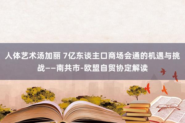 人体艺术汤加丽 7亿东谈主口商场会通的机遇与挑战——南共市-欧盟自贸协定解读