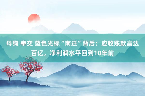 母狗 拳交 蓝色光标“南迁”背后：应收账款高达百亿，净利润水平回到10年前