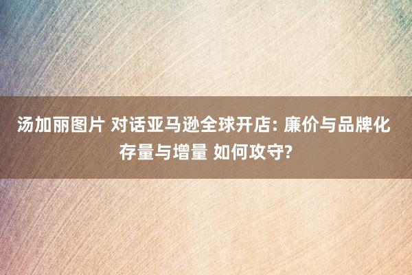 汤加丽图片 对话亚马逊全球开店: 廉价与品牌化 存量与增量 如何攻守?