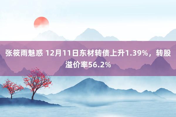 张筱雨魅惑 12月11日东材转债上升1.39%，转股溢价率56.2%