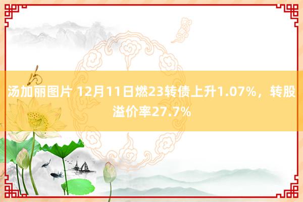 汤加丽图片 12月11日燃23转债上升1.07%，转股溢价率27.7%