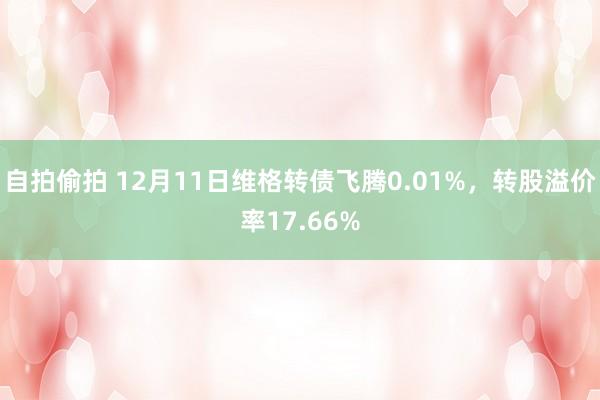 自拍偷拍 12月11日维格转债飞腾0.01%，转股溢价率17.66%