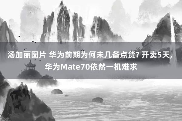 汤加丽图片 华为前期为何未几备点货? 开卖5天， 华为Mate70依然一机难求