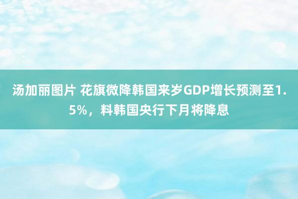 汤加丽图片 花旗微降韩国来岁GDP增长预测至1.5%，料韩国央行下月将降息