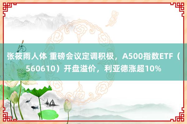 张筱雨人体 重磅会议定调积极，A500指数ETF（560610）开盘溢价，利亚德涨超10%