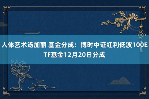 人体艺术汤加丽 基金分成：博时中证红利低波100ETF基金12月20日分成