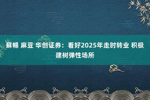 蘇暢 麻豆 华创证券：看好2025年走时转业 积极建树弹性场所