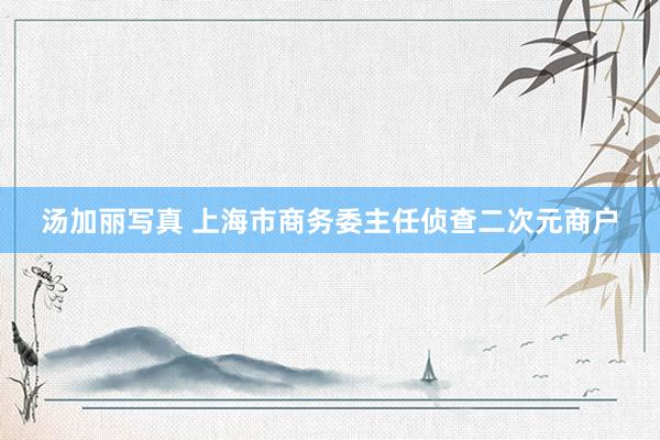 汤加丽写真 上海市商务委主任侦查二次元商户