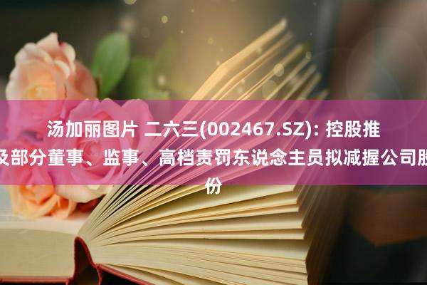 汤加丽图片 二六三(002467.SZ): 控股推动及部分董事、监事、高档责罚东说念主员拟减握公司股份