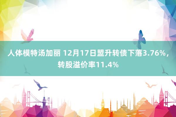 人体模特汤加丽 12月17日盟升转债下落3.76%，转股溢价率11.4%