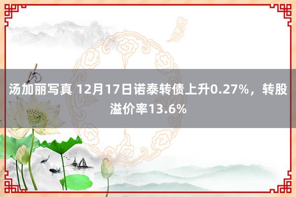 汤加丽写真 12月17日诺泰转债上升0.27%，转股溢价率13.6%