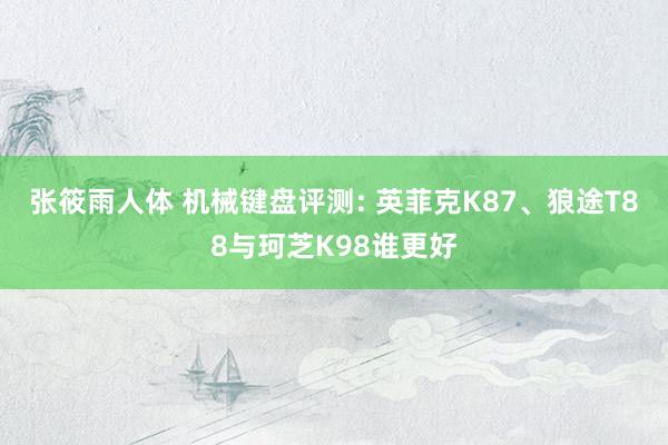 张筱雨人体 机械键盘评测: 英菲克K87、狼途T88与珂芝K98谁更好