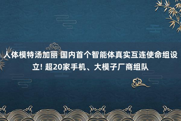 人体模特汤加丽 国内首个智能体真实互连使命组设立! 超20家手机、大模子厂商组队