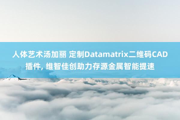 人体艺术汤加丽 定制Datamatrix二维码CAD插件， 维智佳创助力存源金属智能提速