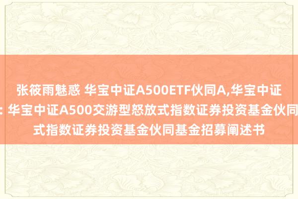 张筱雨魅惑 华宝中证A500ETF伙同A，华宝中证A500ETF伙同C: 华宝中证A500交游型怒放式指数证券投资基金伙同基金招募阐述书